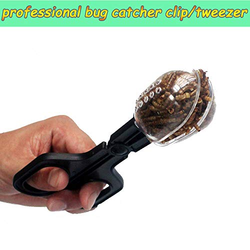 Reptile Feeding Tongs,Bug Tweezers for Kids Adults,Plastic Anti-static Curved Tweezers Feeding Tool,Cleaning Supplies & Tweezers for Cricket Clamp Bug Scooper Snake Lizard Gecko Bearded Dragon (Black) - color: Black