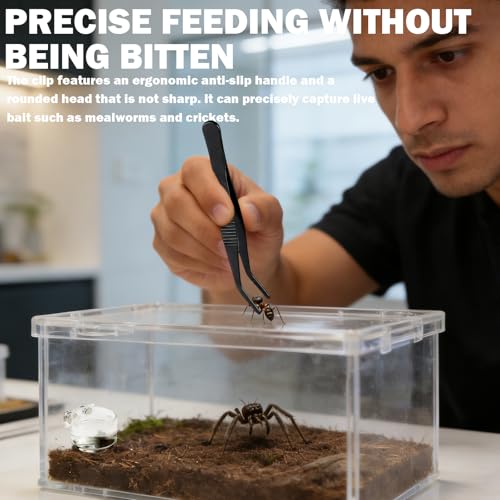 Jumping Spider Feeding Dish 2 Pack Magnetic Water Bowl with Tweezers | Magnetic Mounting, Shallow Design, Acrylic Material, Easy To Clean