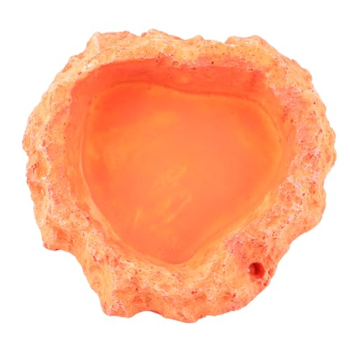 Veemoon Simulation Bowl Lizard Turtle Feeder Reptile Supplies Odorless Food Container Thickened Bowl Reptile Tank Accessories