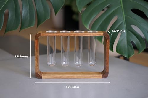 Source & Plot Plant Propagation Station - Acacia Wood Stand with 4 Glass Test Tubes, Tabletop Hydroponic Terrarium Planter Rack for Rooting & Houseplant Decor, Gift for Plant Lovers