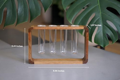 Source & Plot Plant Propagation Station - Acacia Wood Stand with 4 Glass Test Tubes, Tabletop Hydroponic Terrarium Planter Rack for Rooting & Houseplant Decor, Gift for Plant Lovers