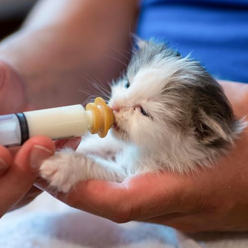 Suxgumoe Pet Feeding Bottle Set, Feeding Silicone Nipple with Bottle and Syringes, Reusable Pet Nursing Kits Feeding Tools for Rabbits, Small Animals (3 Nipples+5 Syringes + 1 Measuring Cup) - color: 3 Nipples+5 Syringes + 1 measuring cup