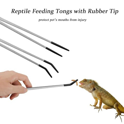 Booge 2 Pcs Stainless Steel Reptile Feeding Tongs with Rubber Tip, 11.8 Inch Straight and Curved Extra Long Tweezers for Lizards, Bearded Dragon, Snake