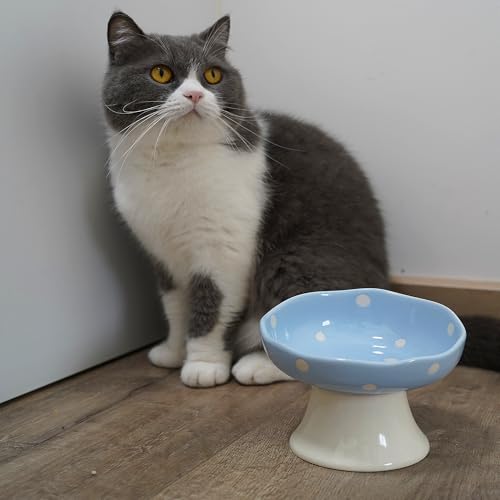 Blue Mushroom Cat Bowl, Elevated Ceramic Bowl for Cats | Cute Mushroom Design, Elevated, Ceramic, Whisker Friendly, Anti Vomiting - color: Blue