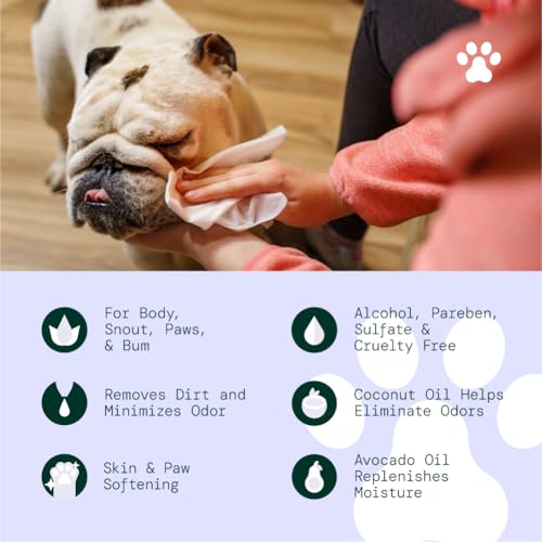 ALŌH Hypoallergenic Multi-Purpose Pet Wipes, All-Natural & Unscented | Grooming & Cleaning Wipes for Paws, Butt, Face & Body - Sensitive Skin Safe with Coconut & Avacado Oil - 50 Wipes - color: Unscented (1 Pack)