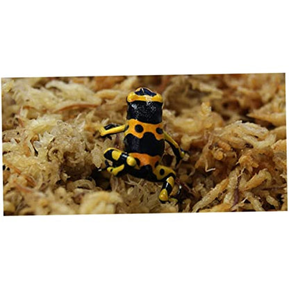 Sphagnum Moss Dried Spagnum Dry Moss for Reptiles Bedding and Terrarium Pet Supplies 150g Sphagnum Dried Dry for Reptiles Reptile Spagnum for Plants