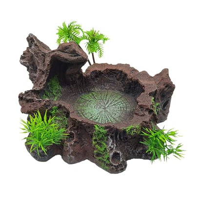 Tfwadmx Reptile Feeding Bowl,Resin Beared Dragon Food Water Dish Reptile Tank Decor for Lizard Gecko Chameleon Frog Turtle Spider