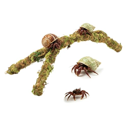 Reptile Tank Accessories and Terrarium Habitat Decor, Artificial Mossy Vines Bridge for Small Reptiles, Climbing Toys for Gecko, Lizard, Snake, Chameleon, Frog, Spider