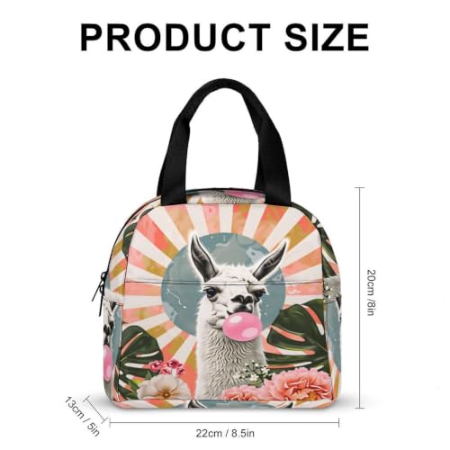 Funny Llama Alpaca Lunch Bag for Women Men | Insulated Lunch Box Leakproof Food Meal Containers Reusable Foldable 6L Capacity Lunch Tote Bags for Work Picnic Travel - color: Style 3