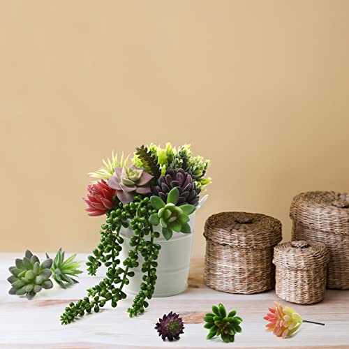 Yunsailing 40 Pieces Artificial Succulent Plants Faux Realistic Unpotted Mini Succulents for DIY Garden Home Office Indoor Decor (Fresh) - style: Fresh