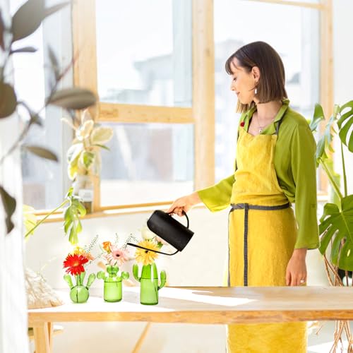 XXXFLOWER Cactus Plant Propagation Station 3 Cactus Vase Terrarium Jars | Desk Plant Cuttings Plant Holders Unique Glass Flower Vase for Hydroponics Plants for Plant Lovers Home Garden Decor - size: 3PCS Cactus Vase
