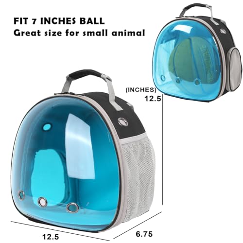 Bearded Dragon Travel Backpack with Harness and Leash Set,Lizard Backpack Travel Carrier,Space Capsule Clear Bubble Window Astronaut Reptile Carrier Backpack, Airline Approved - color: Black/Blue