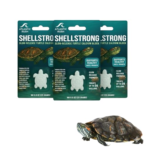 Shellstrong Premium Calcium Block for Aquatic Turtle - Slow Release Water Tank Conditioner - Cuttlebone for Aquarium - Turtle Tank Accessories - 20 Gallon Aquatic Treatment (3 Calcium Blocks) - size: 3 Calcium Blocks