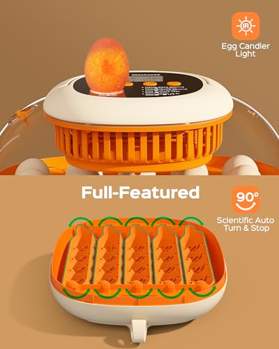 Chickcozy 25 Egg Incubator, Automatic Egg Turner with Thermometer Seat and Humidity Control, Egg Candler, 360° View with Clear Window, Incubators for Hatching Chicks (Sunlit Orange) | Automatic Egg Turning, Humidity Control, Built-In Egg Candler, Digital