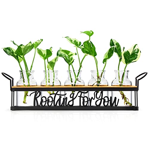 THYGIFTREE Plant Propagation Stations, for Plant Lovers Rooting for You Propagate Jars for Hydroponic Cuttings Propagating Vase - color: Black – 5 Tray Letter