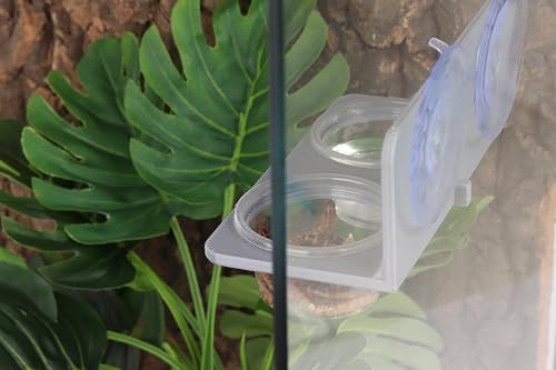 Crested Gecko Feeding Ledge with 10PCS Gecko Food Water Dish - color: Gray