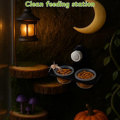Jumping Spider Feeding Dish Kit with Tweezers, Dual Cup Food Bowl with Suction Mount, Small Reptile/Tarantula Enclosure Accessories (Feeding Ledge)