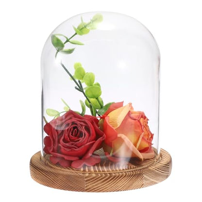 JUXYES 4.5x6 Inch Clear Glass Display Dome Cloche with Walnut Wood Base | Transparent Dome Cloche Bell Terrarium Jar, Glass Dust Proof Display Stand for Plants, Collectibles, Figurines, Keepsakes
