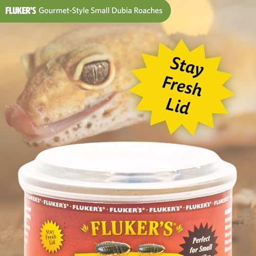 Fluker's Gourmet Canned Food for Reptiles, Fish, Birds and Small Animals, Dubia Roaches, 1.2 oz (Pack of 2) - size: 1.2 Ounce (Pack of 2), style: Dubia Roaches