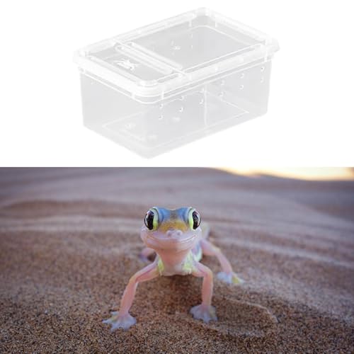 Reptile Breeding Case Feeding Box Transparent Transport Hatchling Cage Lightweight PP Material Suitable for breeding Reptiles Outdoor, Style A - size: Style A