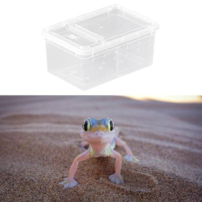 Reptile Breeding Case Feeding Box Transparent Transport Hatchling Cage Lightweight PP Material Suitable for breeding Reptiles Outdoor, Style A - size: Style A