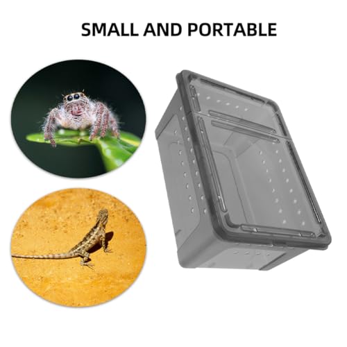 BESPORTBLE 2pcs Creative Reptile Feeding Box Breathable Bin for Snakes Geckos Crickets Enclosure for Reptiles Secure and Fade Resistant Habitat Container