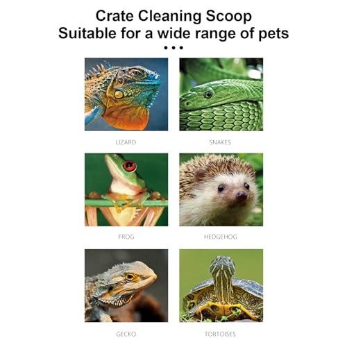 Litter Box Scooper Multifunctional Easy Use Litter Cleaner Corner | Cat Scoop Reptile Terrarium Bedding Substrate for Lizard, Snakes, Hedgehog, Turtle, Cat
