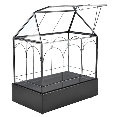 Glass Terrarium with Metal Tray, Glass Greenhouse Terrarium Kit for Succulents, Cacti, Snails, Spiders, and Miniature Reptiles, Black (Large-9.45" L x 5.7" W x 11.8" H) - size: Large-9.45"L x 5.7"W x 11.8"H