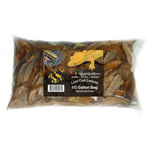 XYZReptiles Premium Live Oak Leaf Litter Isopod Substrate Terrarium Bedding (1/2 Gallon) - size: 1/2 Gallon