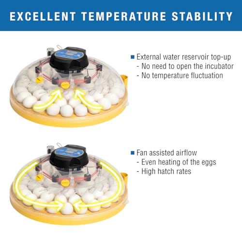Brinsea Maxi 48 EX Connect Fully Automatic Smart Egg Incubator with App | 50+ years of innovation! Ultimate smart incubator with app-driven controls and real time alerts gives you total peace of mind