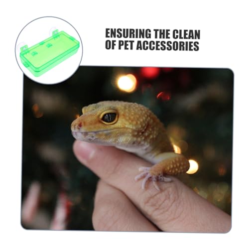 HANABASS Reptile Feeding Dish Bowl with Suction Cup Dual-Purpose Food and Water Container for Chameleons Geckos Bearded Dragons and Lizards Escape Prevention Design Sturdy Material Green - color: Light Green, size: 13.50X6.50X3.50CM