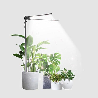 bodkar Plant Grow Light, Plant Lamp for Indoor Plants Growing | 6000K White Red Light for Succulents Mini Small Plants Growth (Without Timer/Dimming) - color: #2 Black（no timer）