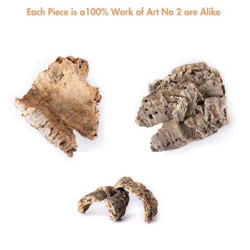 Galápagos (05501) Natural Cork Bark for Reptiles – Ideal for Bearded Dragons, Snakes, and Geckos – Climbing Accessory for Terrariums, Turtle Tanks, and Bird Cages, Flat 6” – 9”, Natural