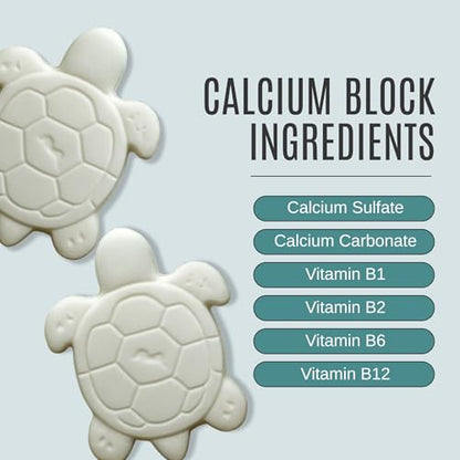 Shellstrong Premium Calcium Block for Aquatic Turtle - Slow Release Water Tank Conditioner - Cuttlebone for Aquarium - Turtle Tank Accessories - 20 Gallon Aquatic Treatment (3 Calcium Blocks) - size: 3 Calcium Blocks