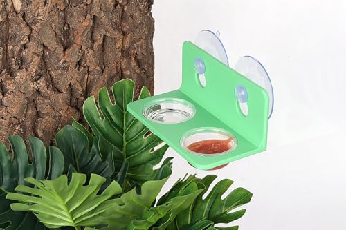 Crested Gecko Feeding Ledge with 10PCS Reptile Food Cups - Green - color: Green