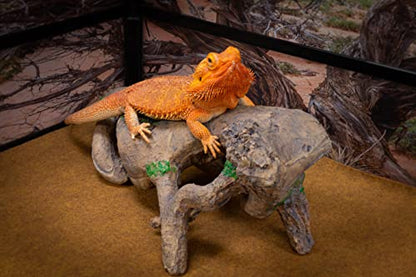 Gnarled Large Root, Brown, Reptile Habitat Accessory
