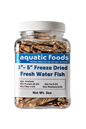 3"- 5" Fresh Water Freeze Dried Fish for Fish and Mammals …3oz Small Jar | Piranha, Large Fish, Turtles, Cats, Sugar Glider, Marmosets, Chinchillas, Squirrels, Hamsters - size: 3 Ounce (Pack of 1)