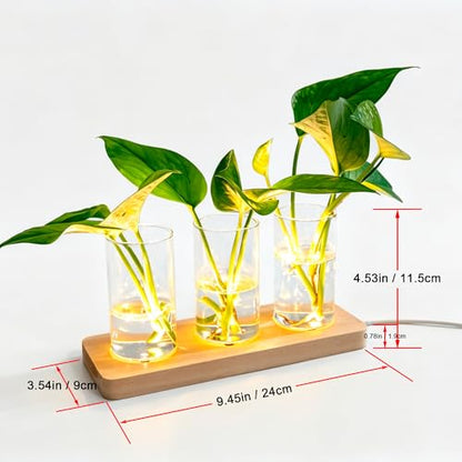 3 Pcs Plant Propagation Terrarium with Wooden Stand | 6 Pcs Wireless LED Light, Desktop Glass Planter Station, Water Planting Glass Vase, Hydroponic Plants, DIY Centerpiece Decor