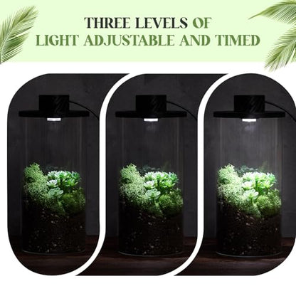 Glass Terrarium Kit with LED Grow Light for Desktop,7.9 x 3.9 Inch | Self Contained Ecosystem, Large Capacity Succulents Moss Venus Fly Trap, Borosilicate Planter, Miniature Garden Home Decor