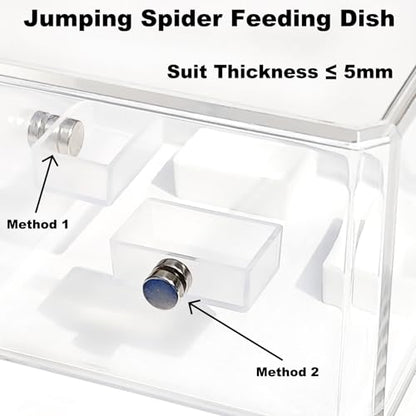 10 Pcs Jumping Spider Enclosure Kit, Magnetic Jumping Spider Feeding Dish, Mini Tarantula Water Dish, Tiny Reptile Feeding Tongs, Jumping Spider Accessories for Spoods and Other Small Pets