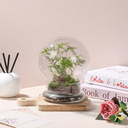 WHJY Round Glass Cloche for Indoor Plants Small Terrarium Glass Cloche with Base Mini Cloche Dome with Base for Display Home Decor - size: 6.7"