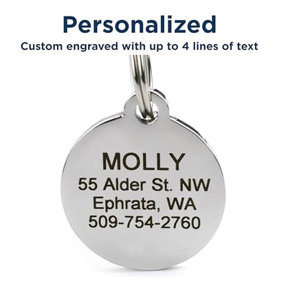 GoTags Playful, Custom Engraved Pet ID Tags, Solid Stainless Steel, Personalized Dog and Cat Pet ID with up to 4 Lines of Text, Cute, Durable and Long-Lasting - style: Star