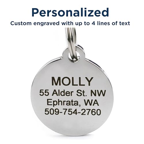 GoTags Playful, Custom Engraved Pet ID Tags, Solid Stainless Steel, Personalized Dog and Cat Pet ID with up to 4 Lines of Text, Cute, Durable and Long-Lasting - style: Crossbones