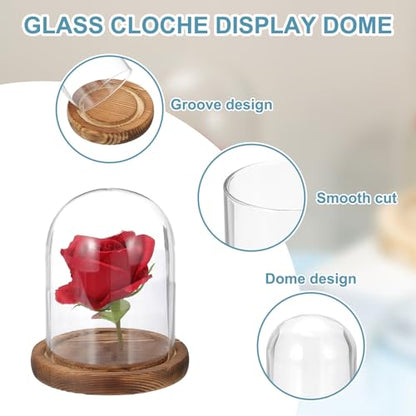 uxcell Glass Cloche Display Dome, 4.7" x 3.5" Glass Dome Display Case, Wood - size: 4.7" x 3.5"