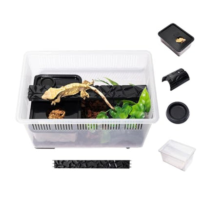 3.5 Gallon Reptile Terrarium Kit - Hatchling & Juvenile Gecko Tank with Humidity Hide, Ledge & Feeding Dish - for Baby Geckos, Dart Frogs, Jumping Spiders & Isopods