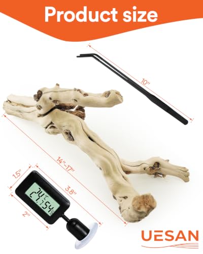 3Pcs Bearded Dragon Wood Branch, Large 14-17 Inch Reptile Wood Logs for ClimbingTerrarium Habitat Decor for Geckos, Chameleons, Frogs & Spiders (Upgrade the Thermometer) - size: Upgrade the thermometer