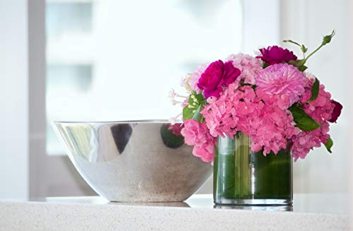 WGV Cylinder Vase, 3" W x 3" H, Clear Skinny Narrow Glass Candle Holder Bud Floral Container Planter Terrarium for Wedding Party Flowers Centerpieces Home Office Decor, 1 Piece - size: 3"x3"H