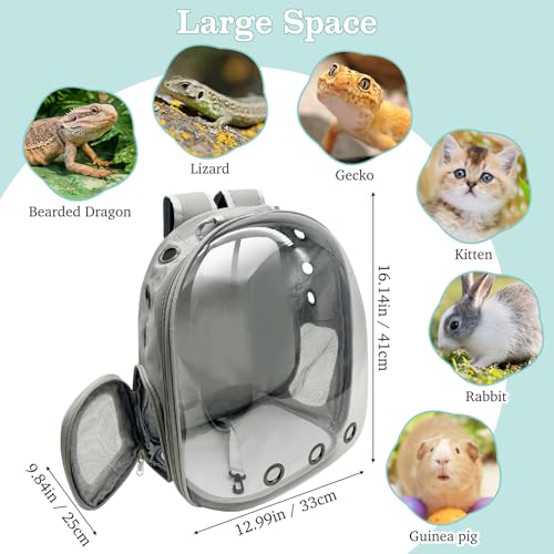 PINVNBY Bearded Dragon Carrier Backpack with Harness and Leash Set Large Reptile Travel Carrier Portable Lizard Backpack Clear Bubble Window Small Animal Carrying Bag for Gecko Kitten Rabbit (Gray) - color: Gray