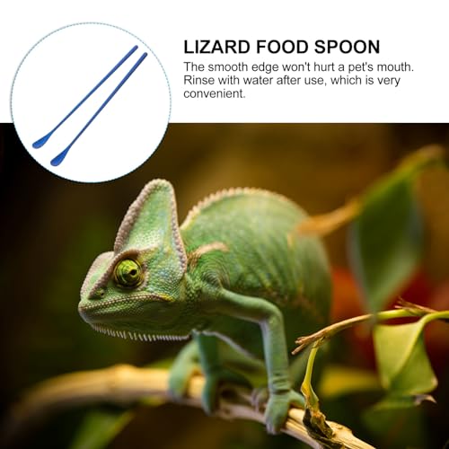 Toddmomy 2pcs Long Handle Reusable Scoop for Reptile Food Mixing Spoon for Lizard and Small Animals Convenient Pet Feeding Tool Blue - color: Blue