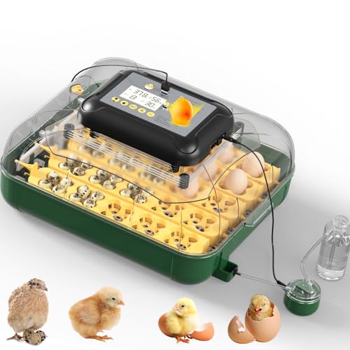 25 Egg Incubator for Hatching Eggs with Automatic Egg Turning, Temperature & Humidity Display, Hatch Day Countdown, Auto Water Refilling System, Egg Candler, Multifunctional Egg Tray for Chicken - size: M- 25 Chicken Eggs